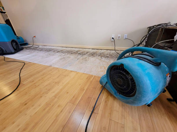 Professional Water Damage Repair technician working in Sunset, TX